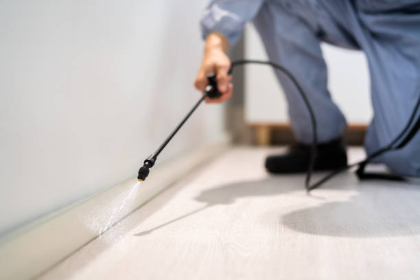 Licensed Fumigation Services service in Cypress Quarters, FL - Nex Pest Control