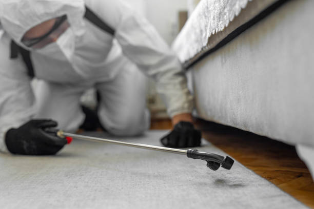 Professional Fumigation Services technician working in Cypress Quarters, FL