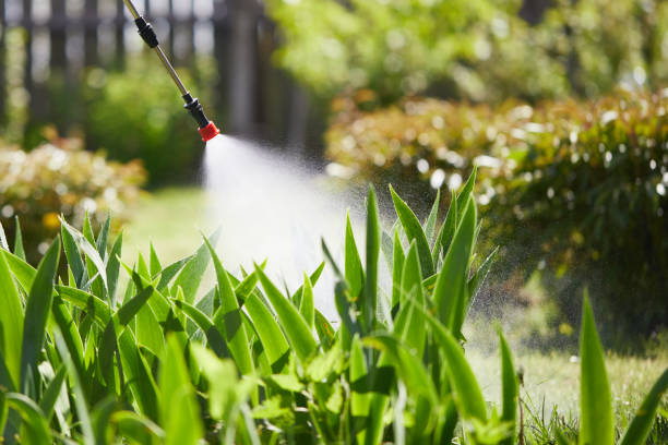 24/7 Emergency Fumigation Services experts in Cypress Quarters, FL