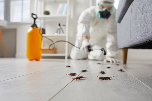 Trusted Fumigation Services service in Cypress Quarters, FL - Nex Pest Control