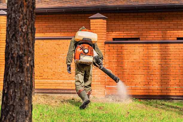 Trusted Termite Control service in Cypress Quarters, FL - Nex Pest Control